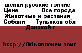 щенки русские гончие › Цена ­ 4 000 - Все города Животные и растения » Собаки   . Тульская обл.,Донской г.